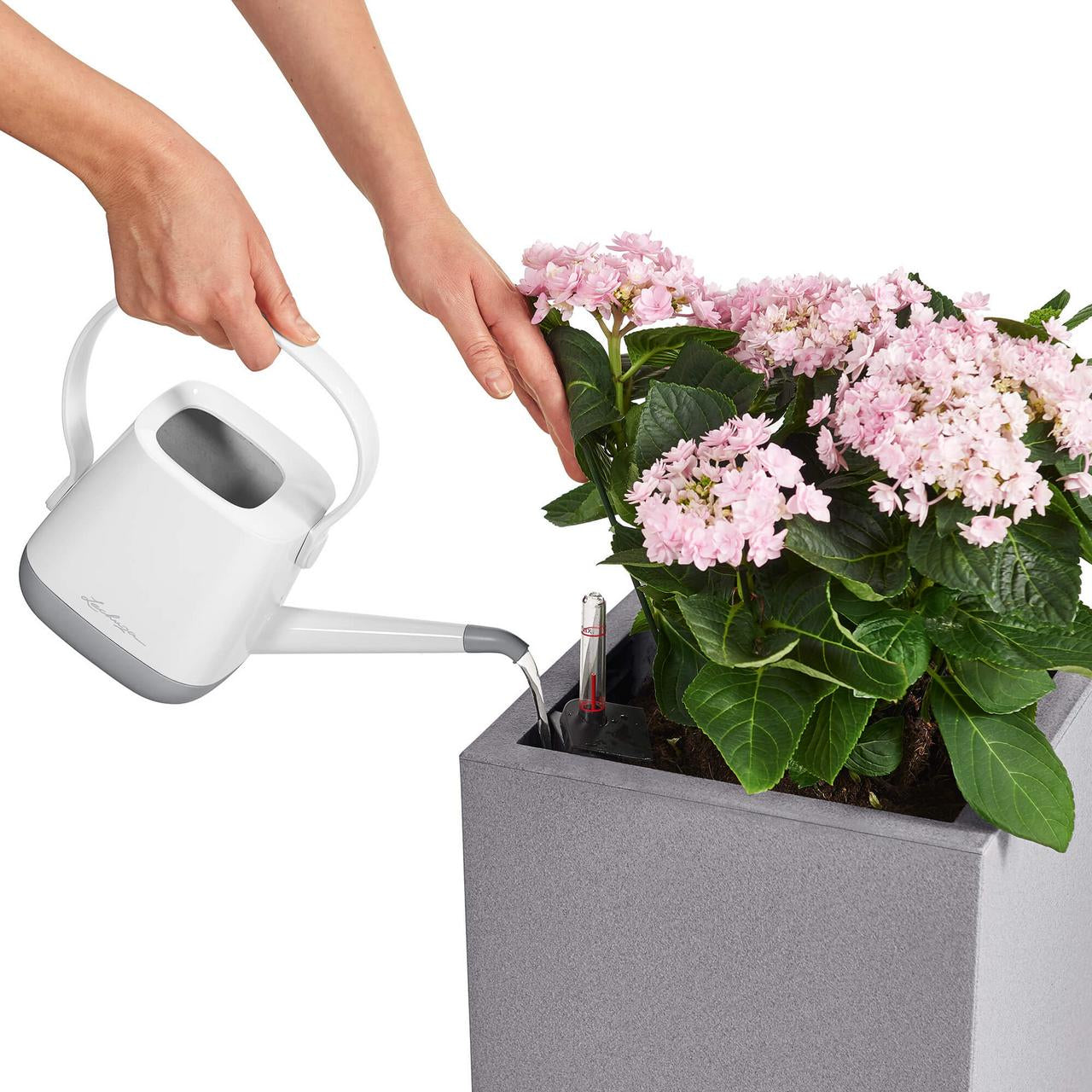 LECHUZA Canto Color Low 40 Pflanzgefäss – 40 × 40,8 × 40 cm – Polypropylen & Polycarbonat, grau