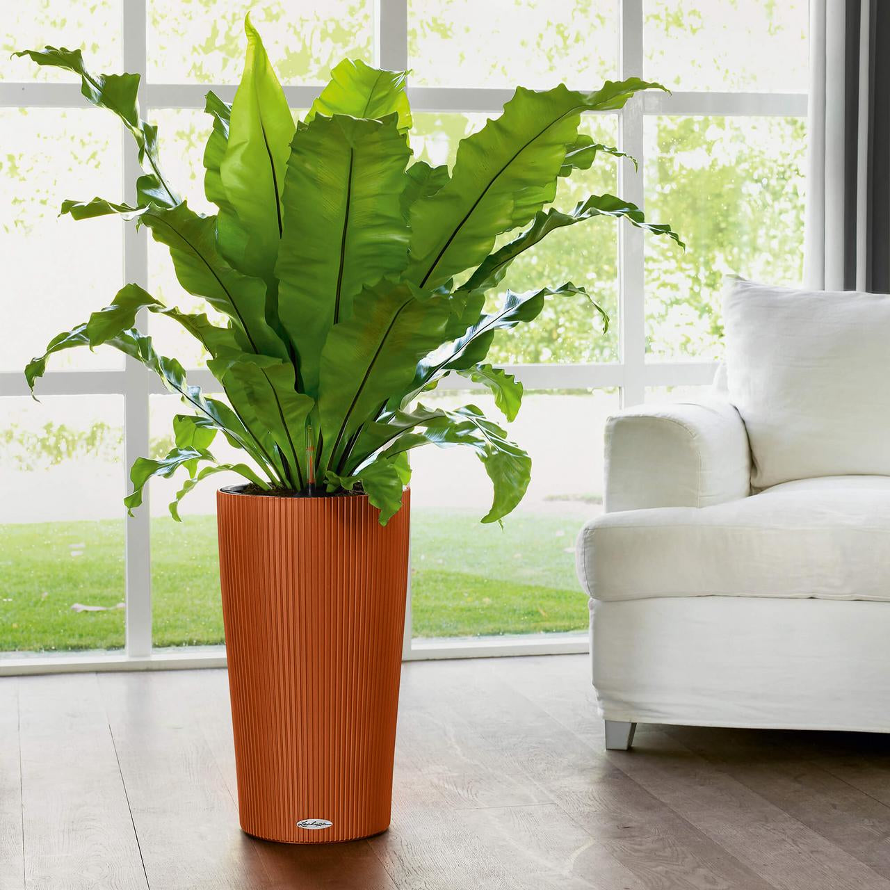 LECHUZA Cilindro Pflanzentopf – Ø 32 × 56 cm – Kunststoff, Grau