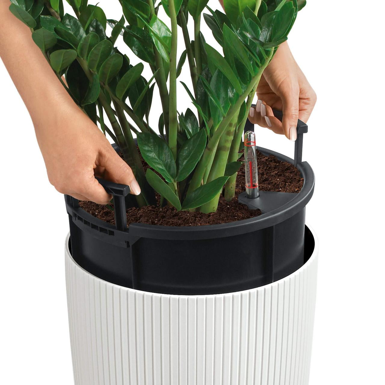LECHUZA Cilindro Pflanzentopf – Ø 32 × 56 cm – Polypropylen, weiss