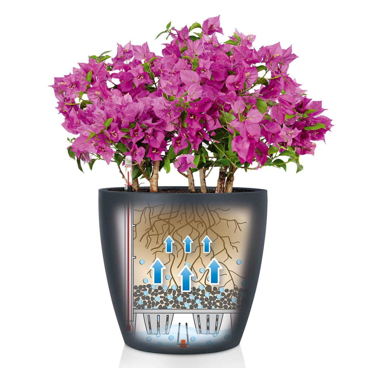 LECHUZA Classico Color 43 Pflanzentopf – Ø 42 × 39,5 cm, 33 l – Polypropylen & Kunststoff, braun
