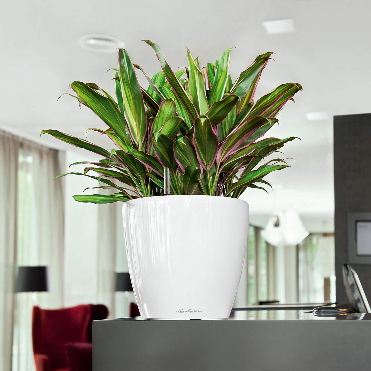 LECHUZA Topfpflanzer – Ø 28,5 × 26 cm – Polycarbonat & Polypropylen, dunkelgrau