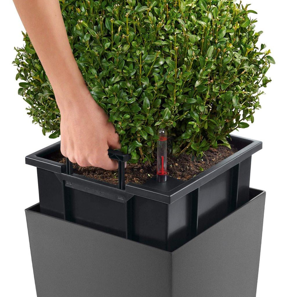 LECHUZA Pflanzgefäss – 39,5 × 39,5 × 75,5 cm – Kunststoff, Rot