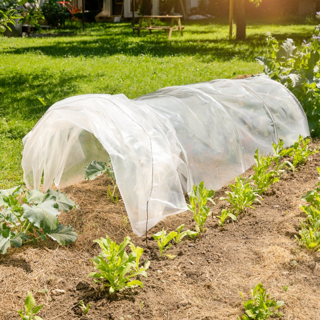 Windhager Folien-Tunnel Akkordeon – 60 cm × 300 cm × 45 cm, 43 g/m², Durchscheinend