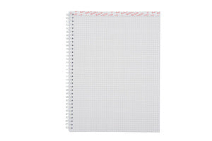 Elco Collegeblock, 4-fach gelocht, perforiert, 80 g/m² – mehrfarbig, für ELCO Notes-App, 2er-Pack