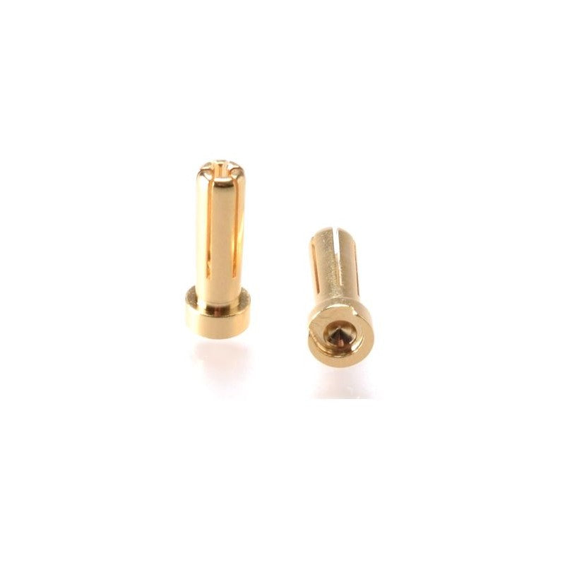 EP Product Steckersatz, 4 Stk., 5 mm Goldstecker – gold