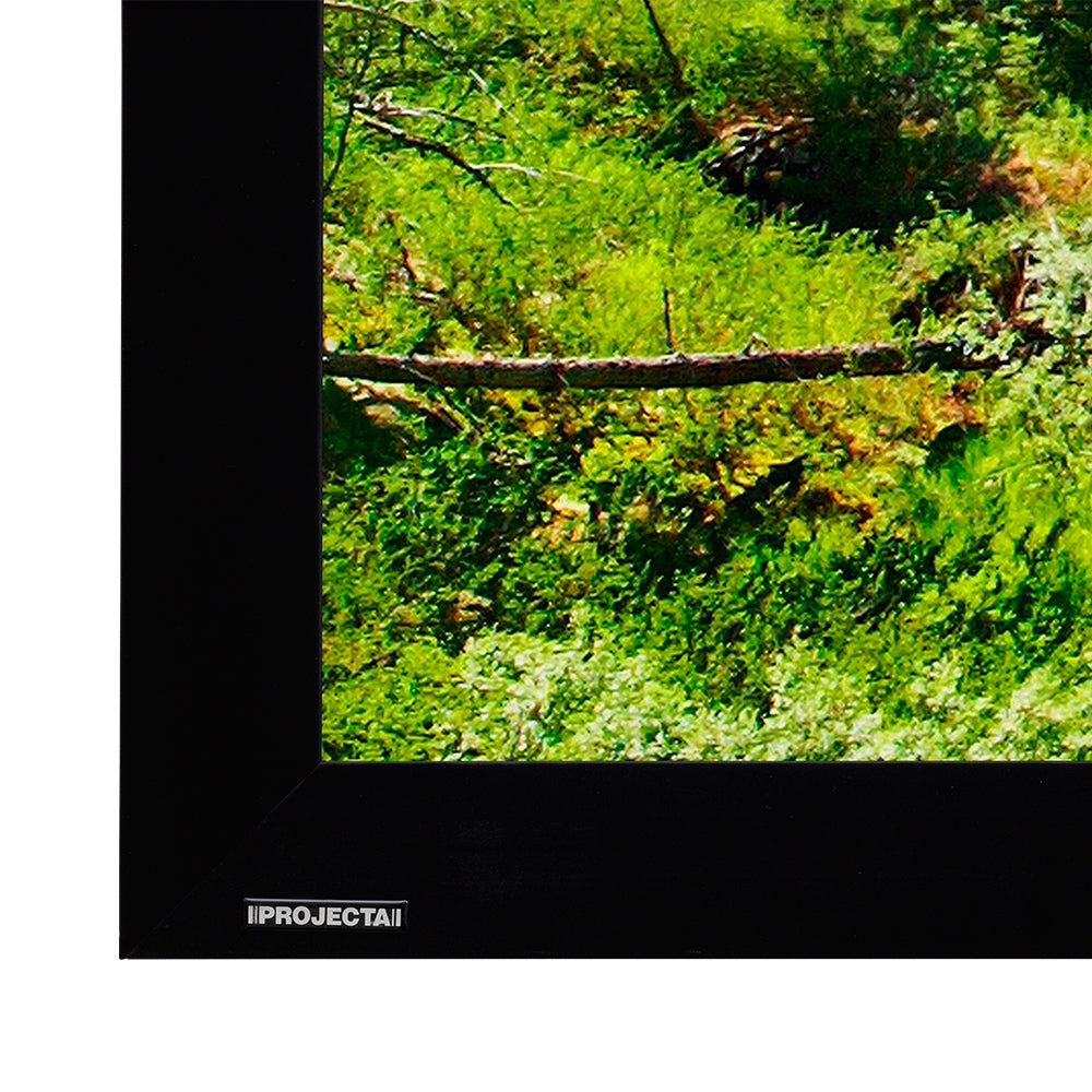 Da-Lite HomeScreen Deluxe 281x500 – Leinwand Rahmen, 16:9, 500 × 281 cm (226″)