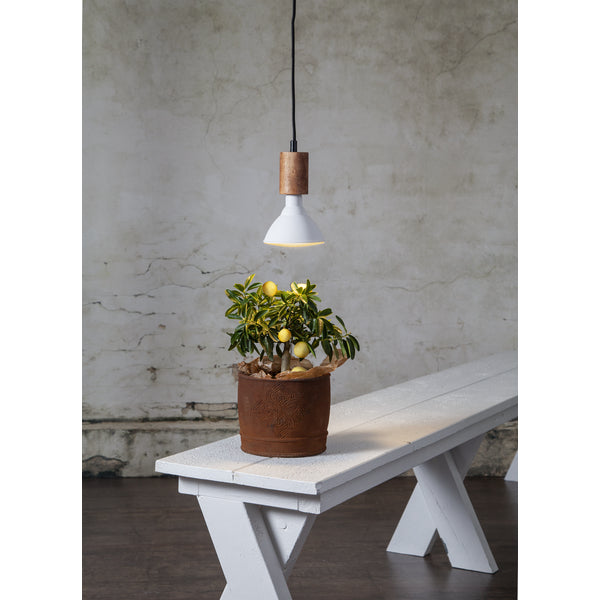 Star Trading Leuchtmittel E27 – 1700 lm, 90°