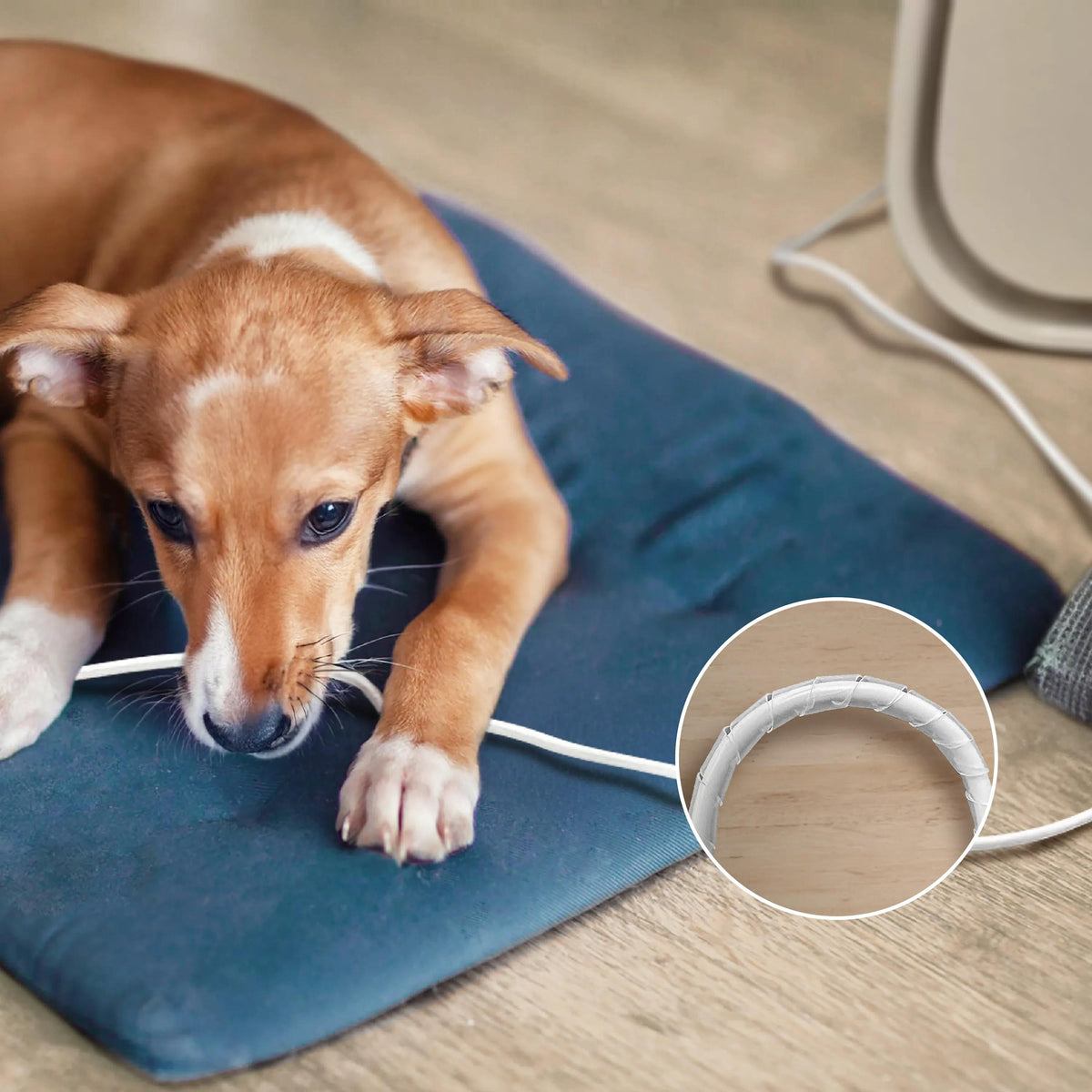 Philips Luftreiniger PureProtect Pet AC3360/11 – CADR 403 m³/h, bis 104 m², App-Steuerung, 52 dB
