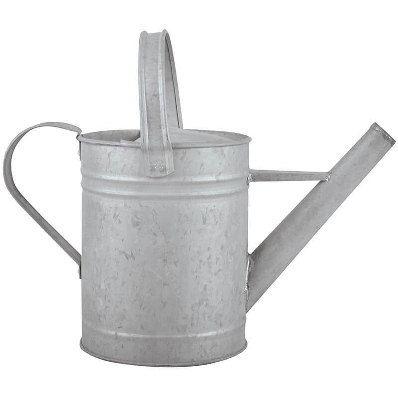 Esschert Design Giesskanne – 1,5 l, Zink