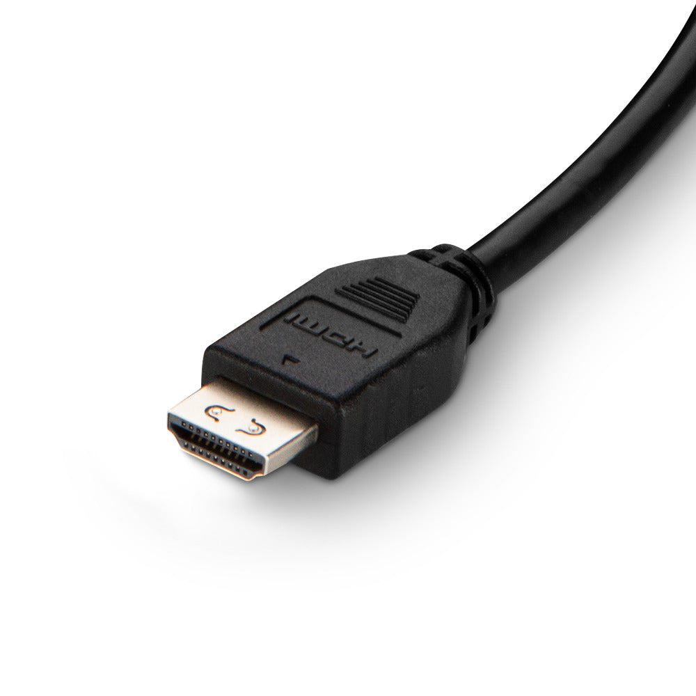 Belkin DVI (Stecker) Multiport-Adapter – HDMI + USB-A/B + Audio, 25,4 cm