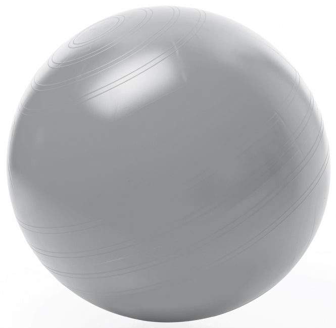 TOGU ABS Sitzball – Crylon – Silber, Ø 55 cm, bis 120 kg