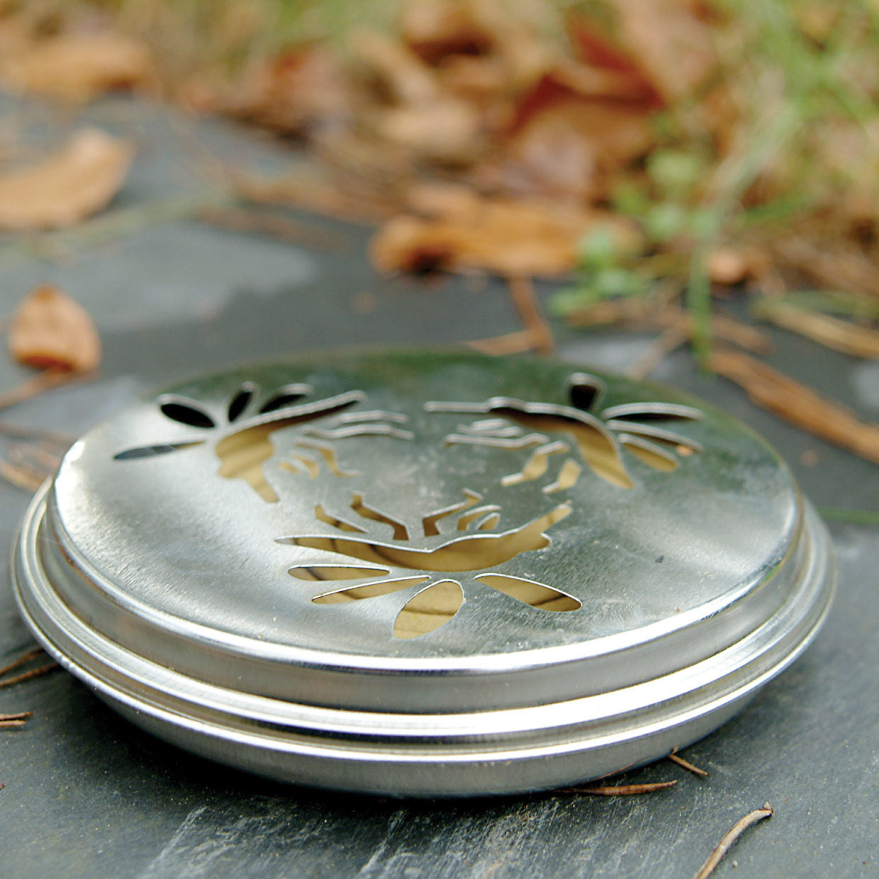 Esschert Design Insektenfalle – 14,2 × 2,8 cm – Braun, Silber – Edelstahl – Für Insekten