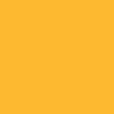 Scaldia Farbiges Kopierpapier Mittelorange – A4, 80 g/m², 500 Blatt