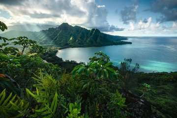 Ravensburger Puzzle Hawaii – 5000 Teile – 101 × 153 cm – ab 14 Jahren