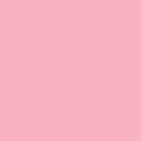 Scaldia Kopierpapier – A4, 120 g/m², Rosa – für Inkjet/Laser/Kopierer – FSC – 250 Blatt