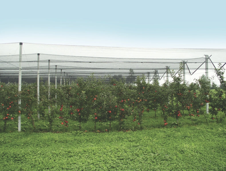 Windhager Hagelschutz-Netz – 5 m × 2 m, 33 g/m², Grün