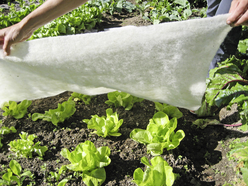 Windhager Wohndecke – Wolle, Weiss – 200 × 100 cm
