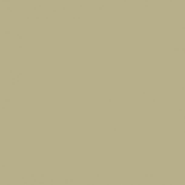 Cricut Matte Vinylfolie – Gold – 13,9 × 121,9 cm – für Cricut Joy Schneideplotter