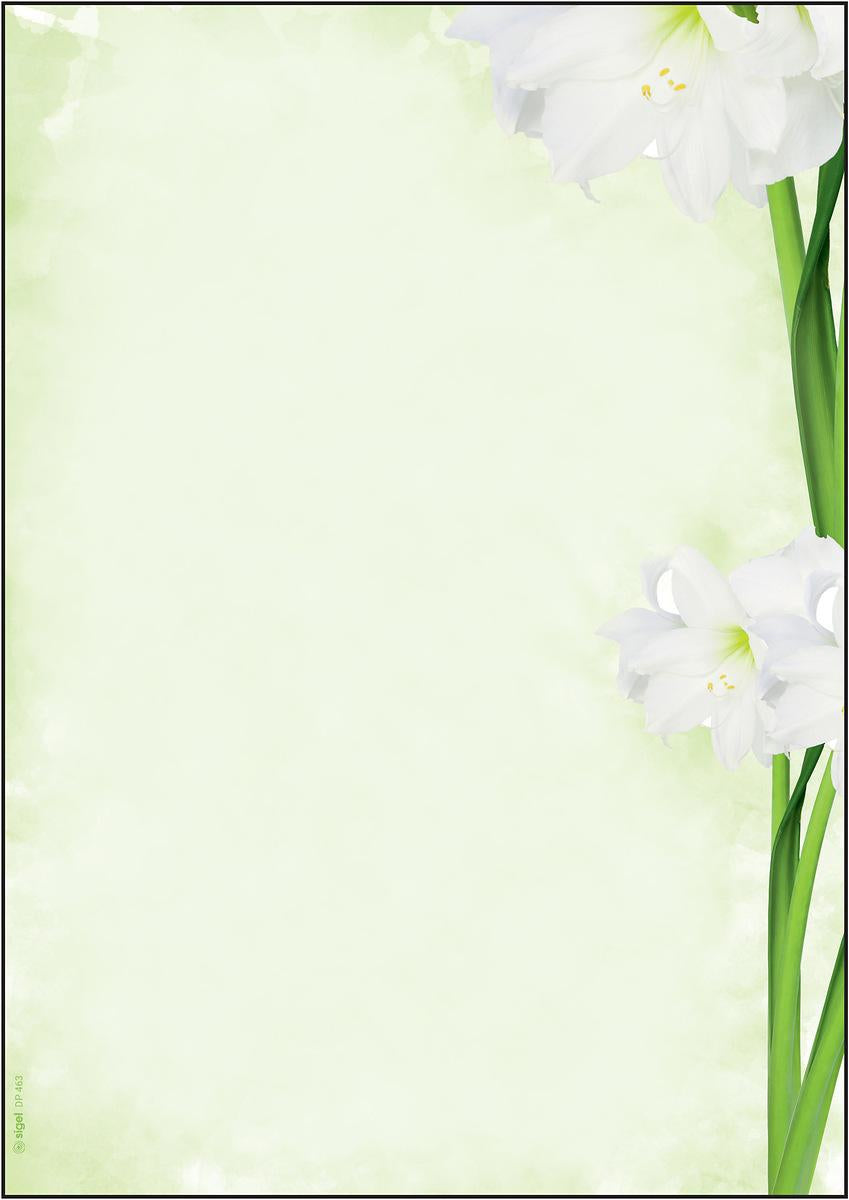 Sigel DP463 Kopierpapier – A4, Grün, Weiss – 25 Blätter