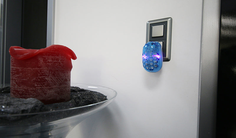 Sonnenkönig Insektenfalle – 7 × 10,5 cm – blau – ohne Chemie – für Fluginsekten