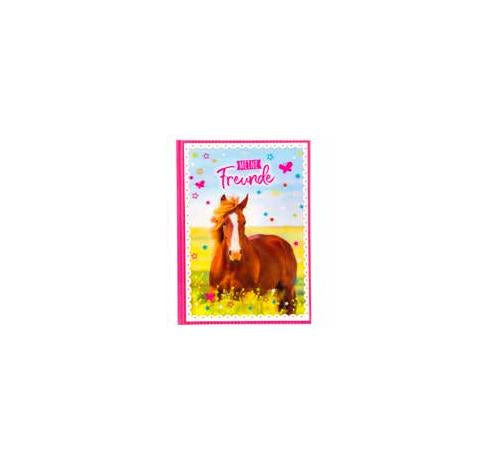 Goldbuch Freundebuch Pferde – 88 Seiten – A5 – Hardcover, Rosa