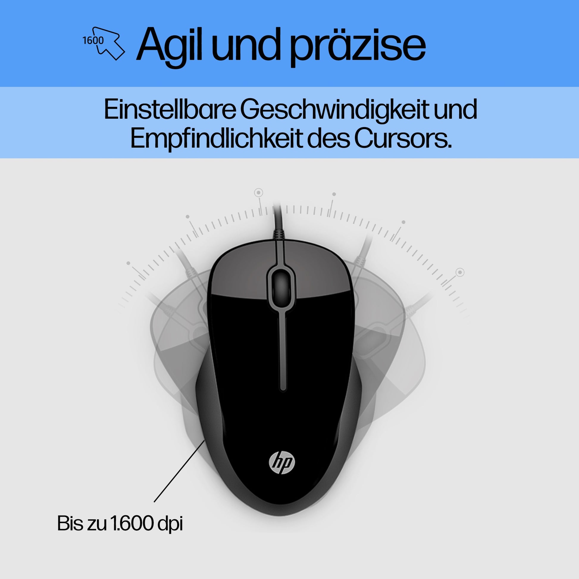HP 250 – Tastatur- und Maus-Set – kabelgebunden – USB – Schwarz