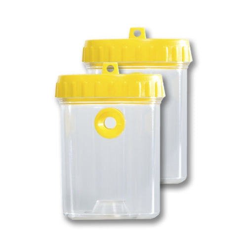 Windhager Insektenfalle – 9 × 13 cm – transparent, gelb – für Wespen – 2 Stk.