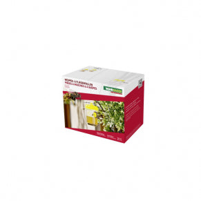 Windhager Insektenfalle – 9 × 13 cm – transparent, gelb – für Wespen – 2 Stk.