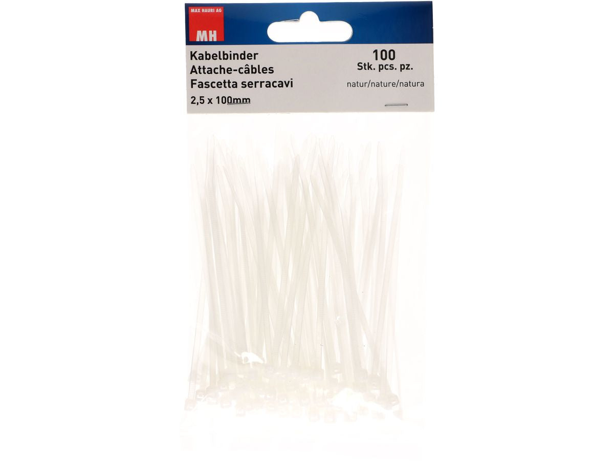 Max Hauri AG Max Hauri – Kabelbinder 100 × 2,5 mm, Polyamid, natur, 100 Stk.
