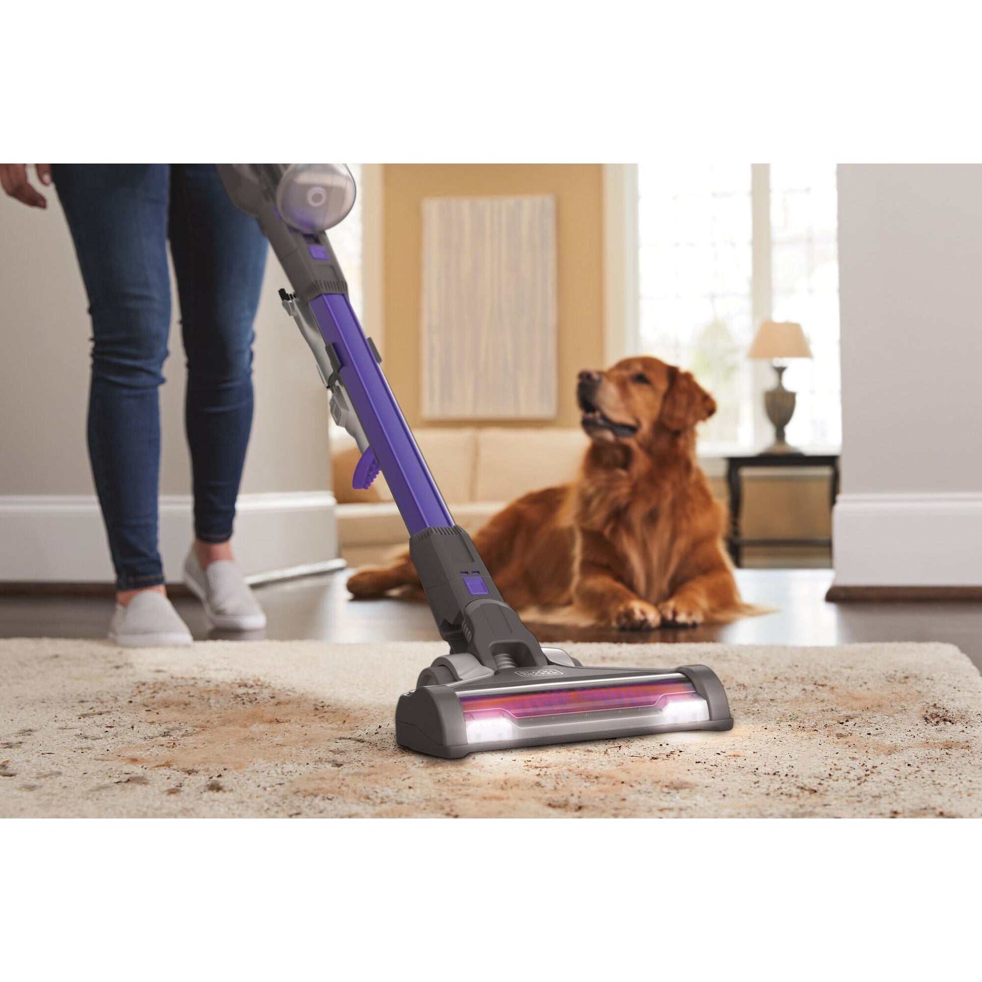 Black & Decker BLACK+DECKER Akku-Bodenstaubsauger Pet – 72 Wh, 0,7 l, Akkubetrieb, 3 Stufen