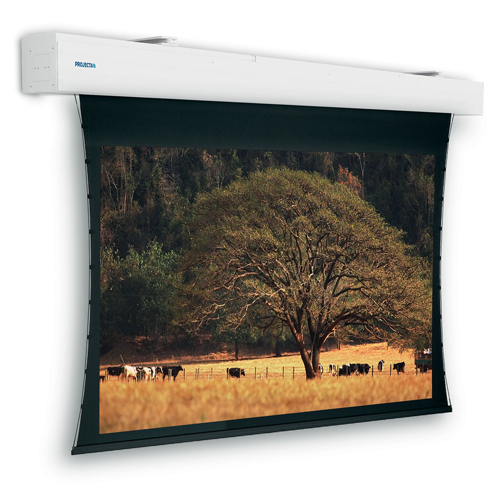 Da-Lite Tensioned Elpro Large Electrol – Elektrische Leinwand, 16:10, 440 × 275 cm (204,3"), schwarz, weiss