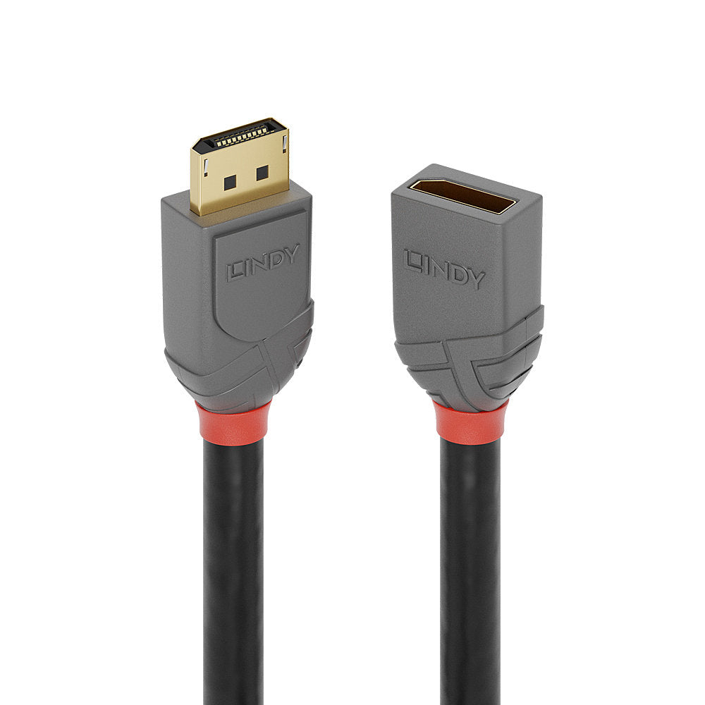 Lindy DisplayPort-Verlängerungskabel – 0,5 m, grau