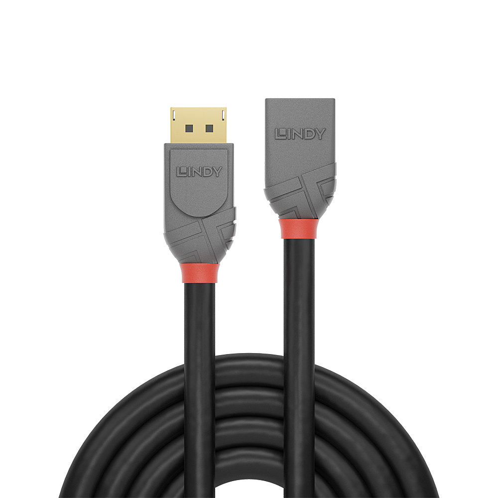 Lindy DisplayPort-zu-DisplayPort Verlängerungskabel - 1,0 m