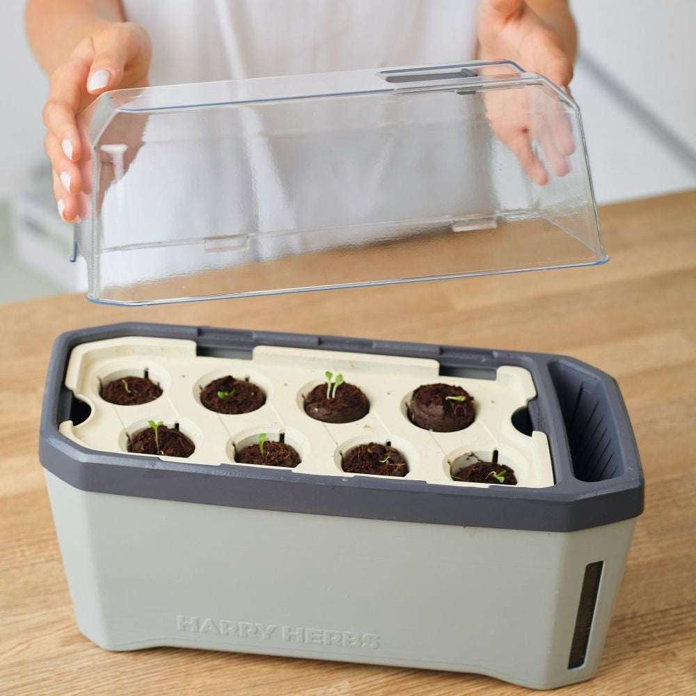 Gusta Garden HARRY HERBS Kräutertopf – 35,8 × 25 × 15 cm – Kunststoff, Weiss