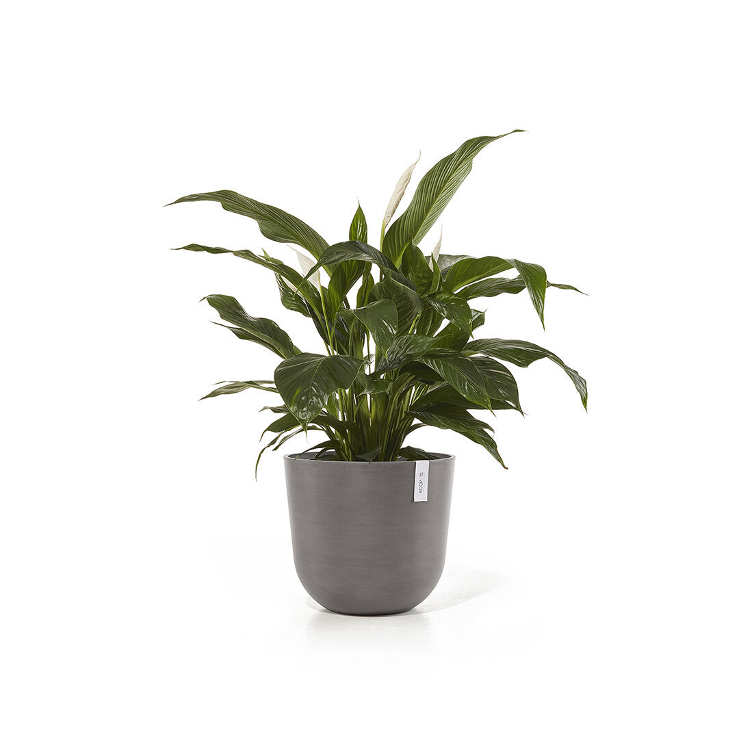 Ecopots Oslo Pflanzentopf – Ø 45 × 39,2 cm – Kunststoff, Taupe