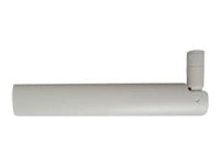 Kerlink Antenne, 868 MHz, SMA-Stecker