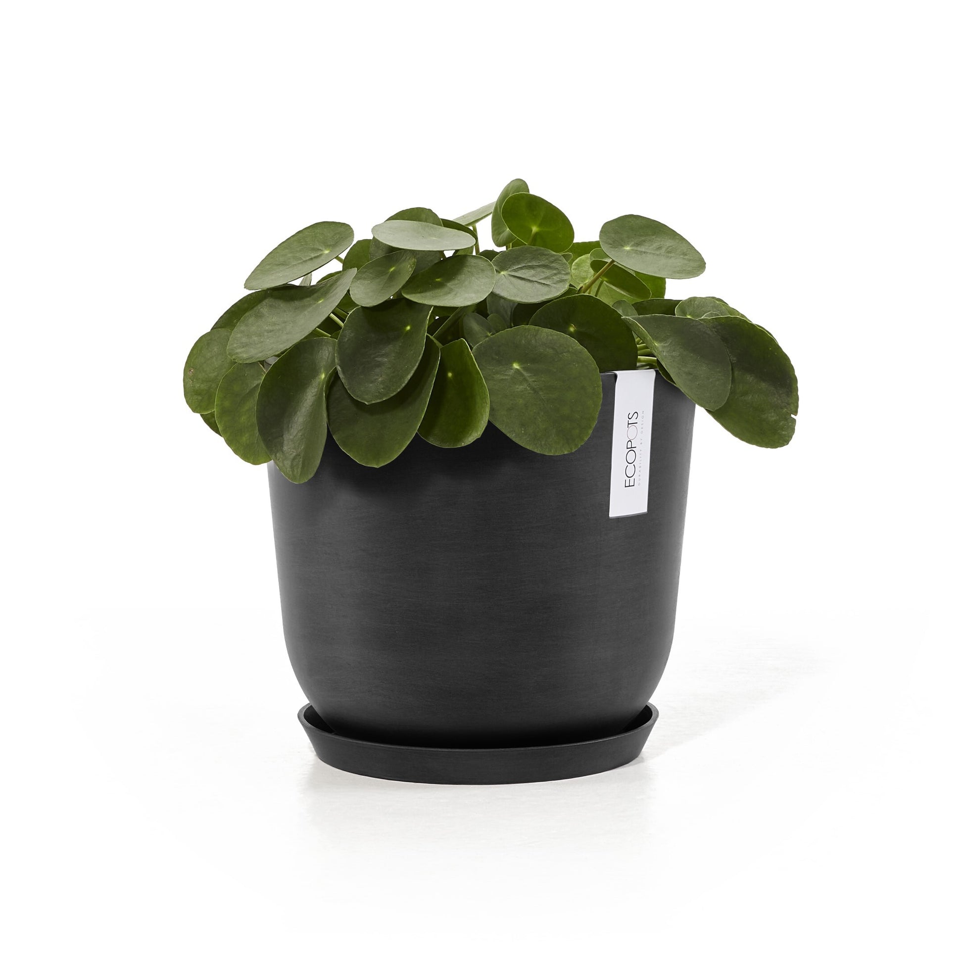 Ecopots Unterteller – Kunststoff, dunkelgrau – Ø 21 × 2,5 cm