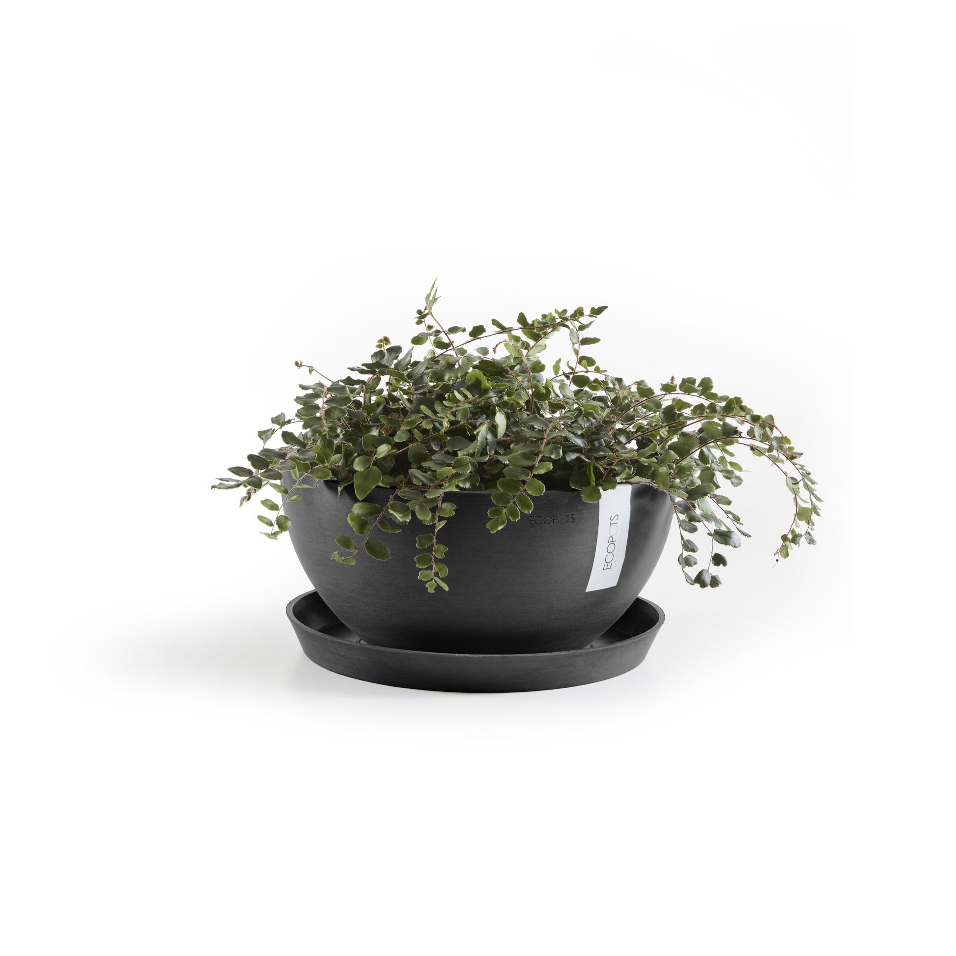 Ecopots Unterteller – Kunststoff, dunkelgrau – Ø 21 × 2,5 cm