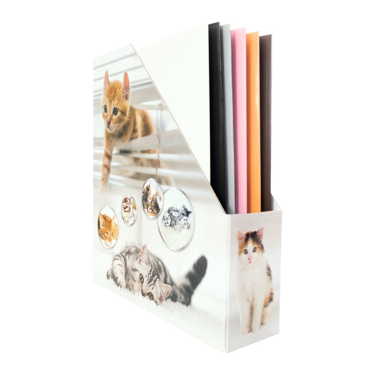 HERMA Stehsammler Katzen – A4 – Karton – Gelb – mit Griffloch – 85 × 275 × 315 mm