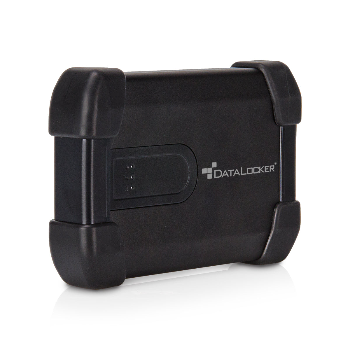 DataLocker IronKey Basic H300 – für 2,5" HDD, USB 3.2 Gen 1