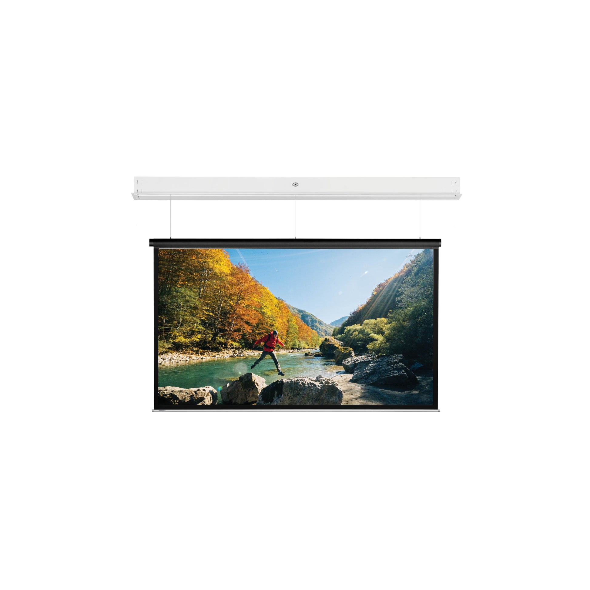 Da-Lite DescenderPro – Elektrische Leinwand, 16:9, 310 × 174 cm (139,8"), Mattweiss