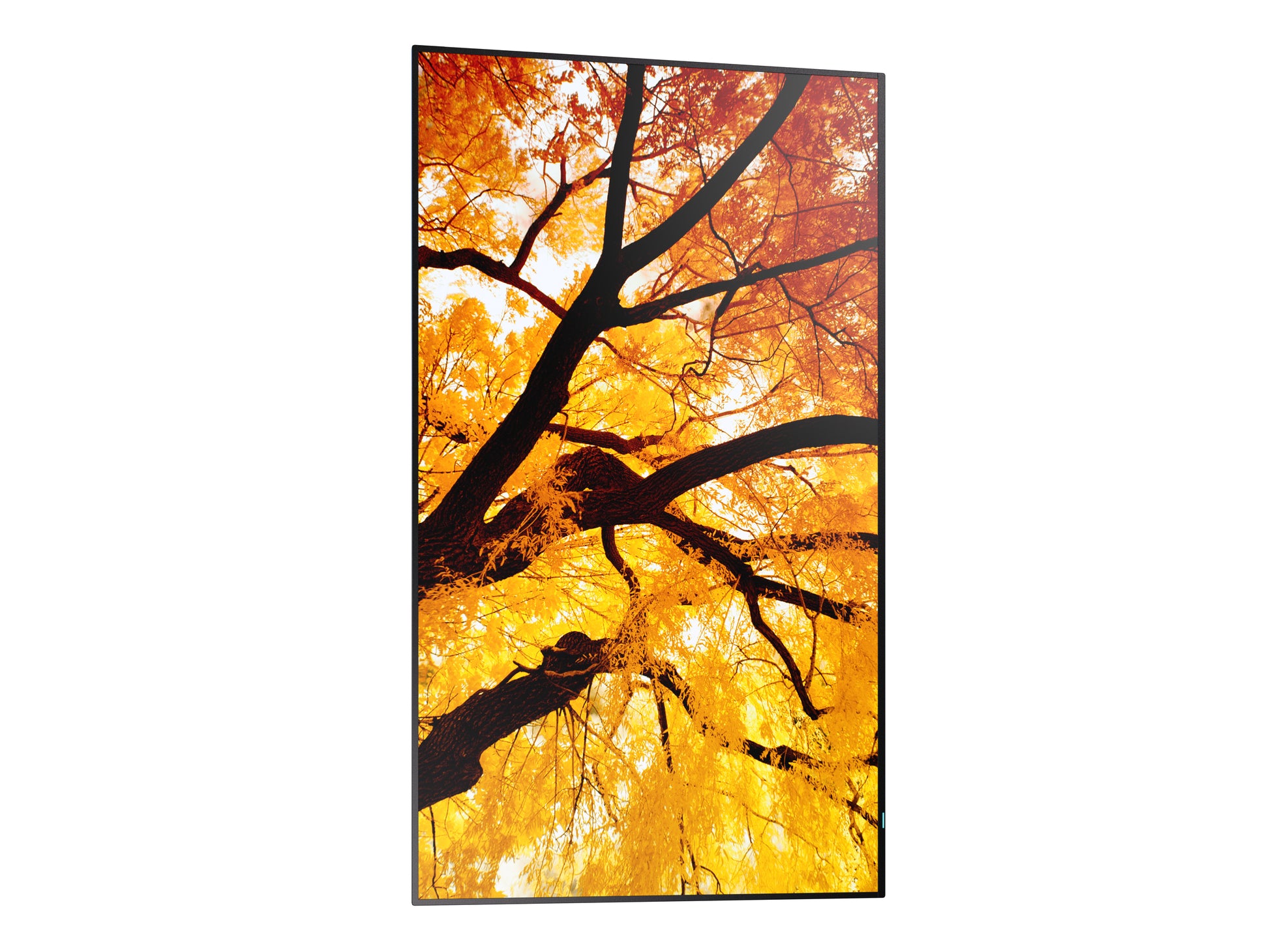 Sharp MultiSync PN-M752 – 74,5", 3840 × 2160 (4K), IPS, USB-C 60 W, LAN