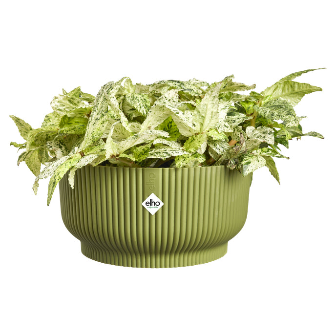 elho Vibes Fold Schale – Kunststoff, Grün – 4,8 l