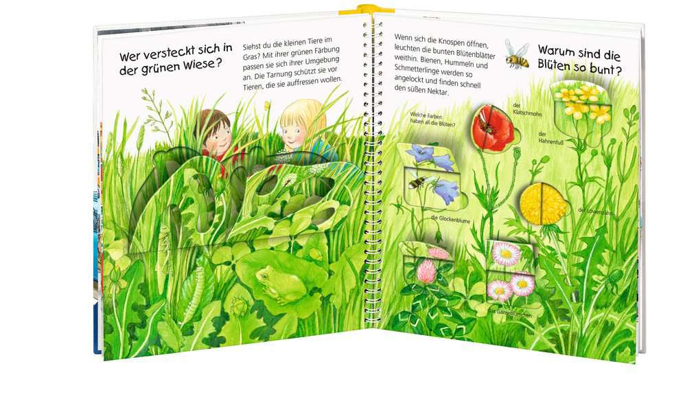 Ravensburger Buch – Welche Farbe ist das? (Wieso? Weshalb? Warum?), 16 Seiten, Deutsch, 2–4 Jahre