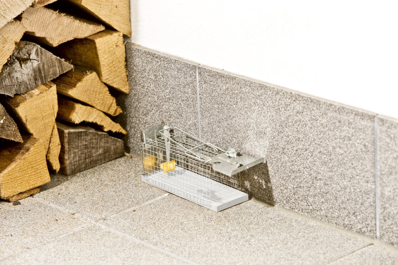 Windhager Rattenfalle – 9,5 × 9,2 × 26 cm – braun – für Ratten