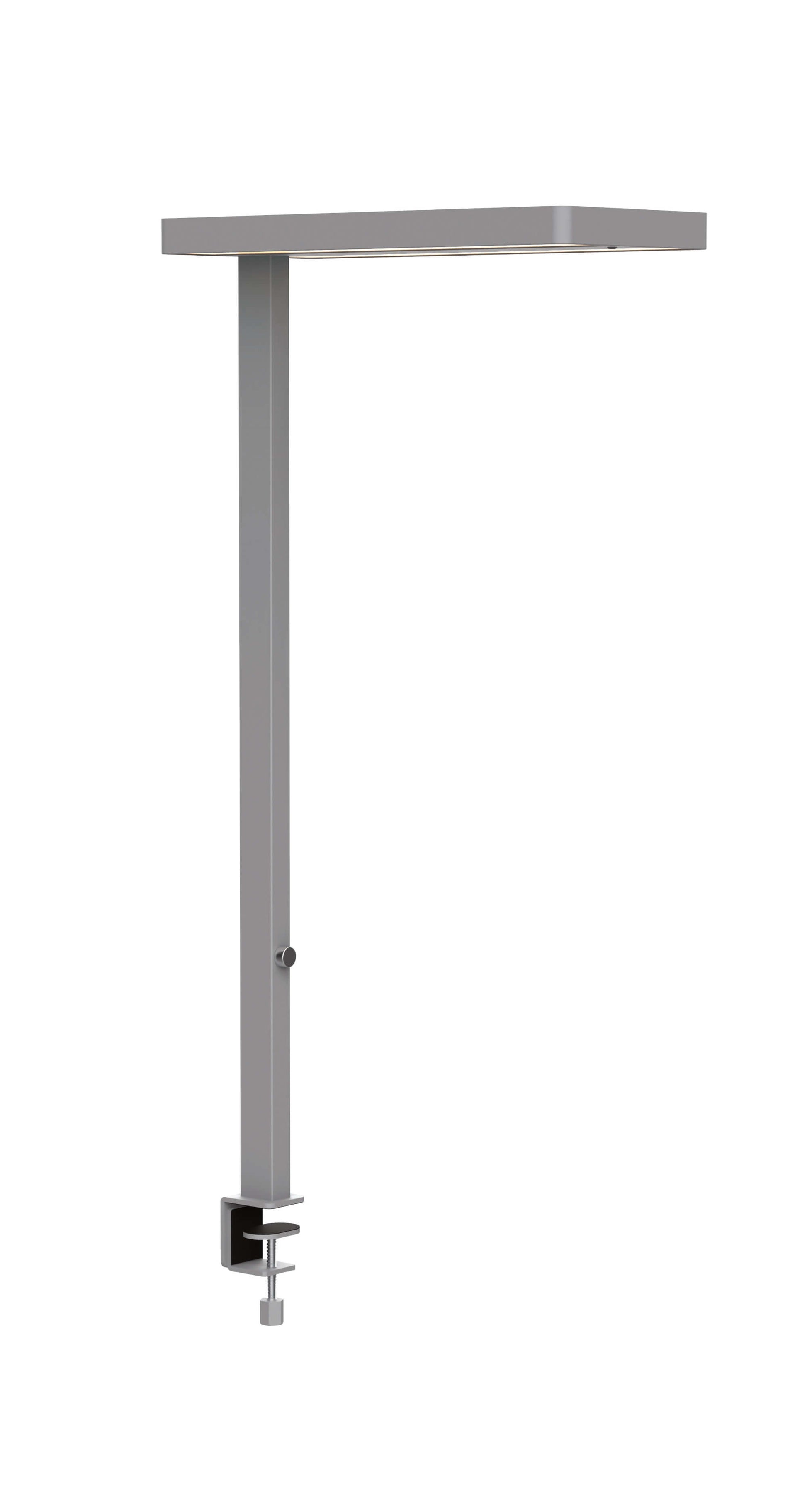 MAUL LED Tischleuchte – Klemmfuss, Bewegungssensor, dimmbar – 4000 K – 7'200 lm 80 W – Silber Aluminium