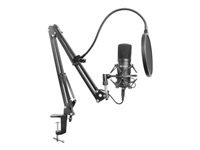 Sandberg Streamer USB Mikrofon Kit – Studio-Mikrofon, USB kabelgebunden