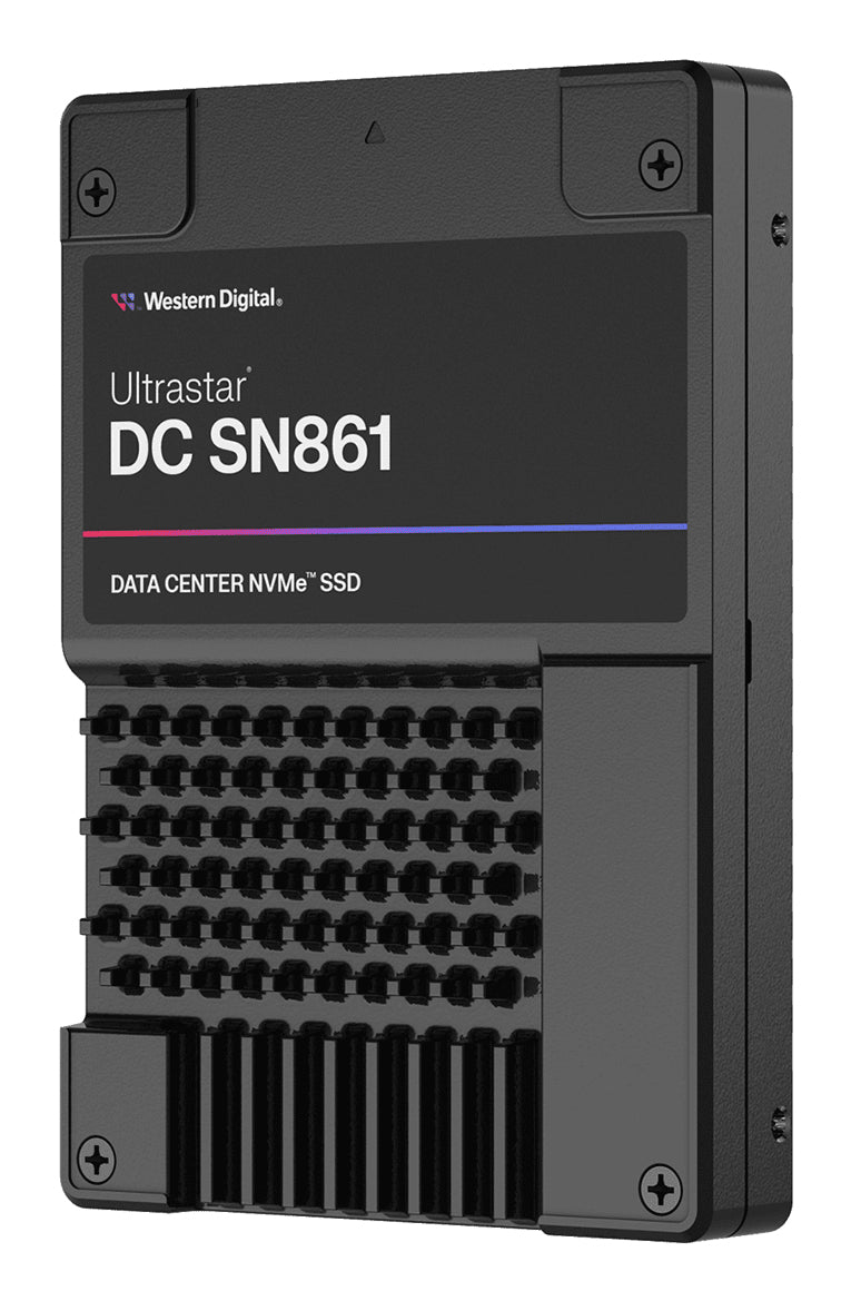 Western Digital Ultrastar DC SN861 2.0 – 3,84 TB, 13'700 MB/s Lesen