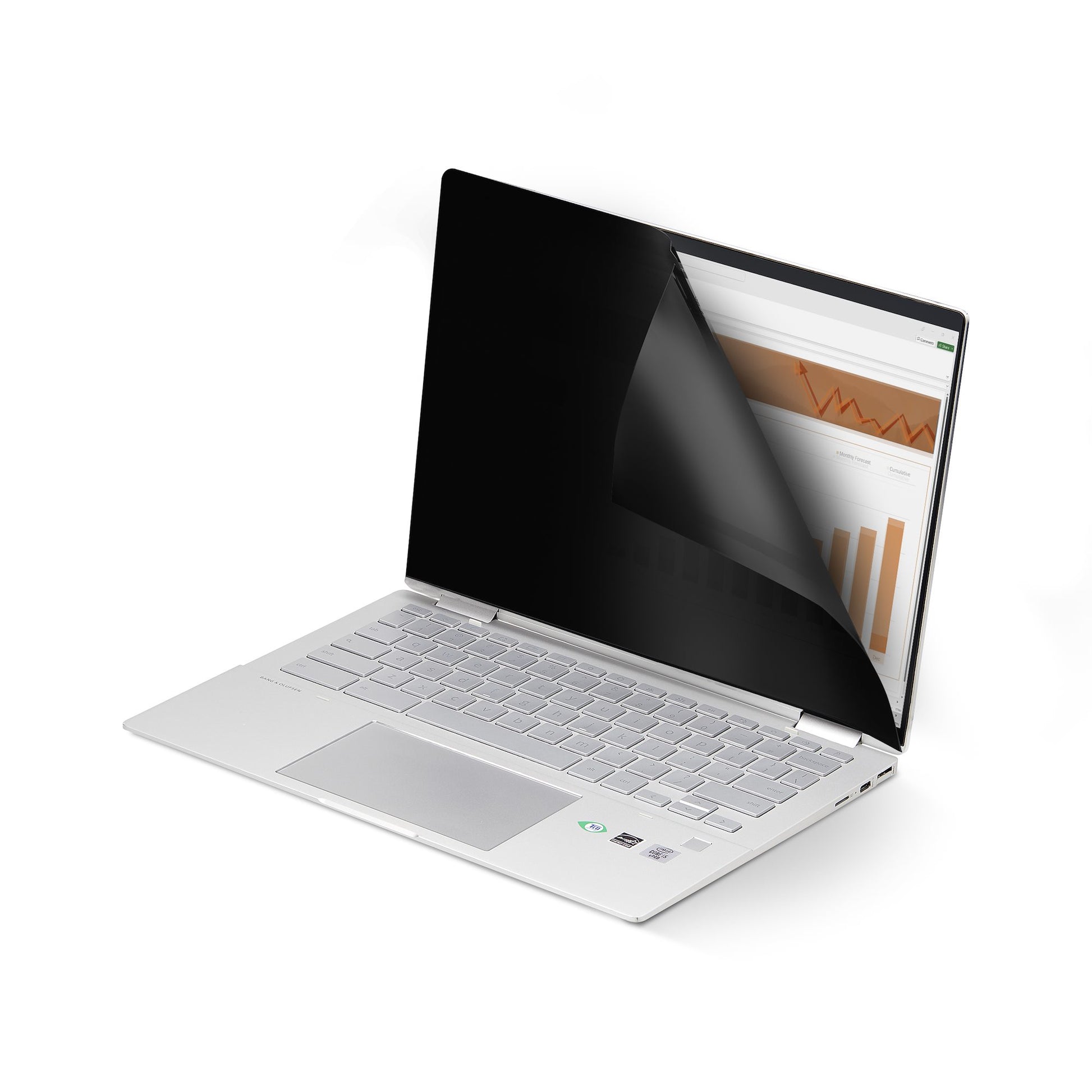 StarTech.com Displayschutz für 14"-Laptop