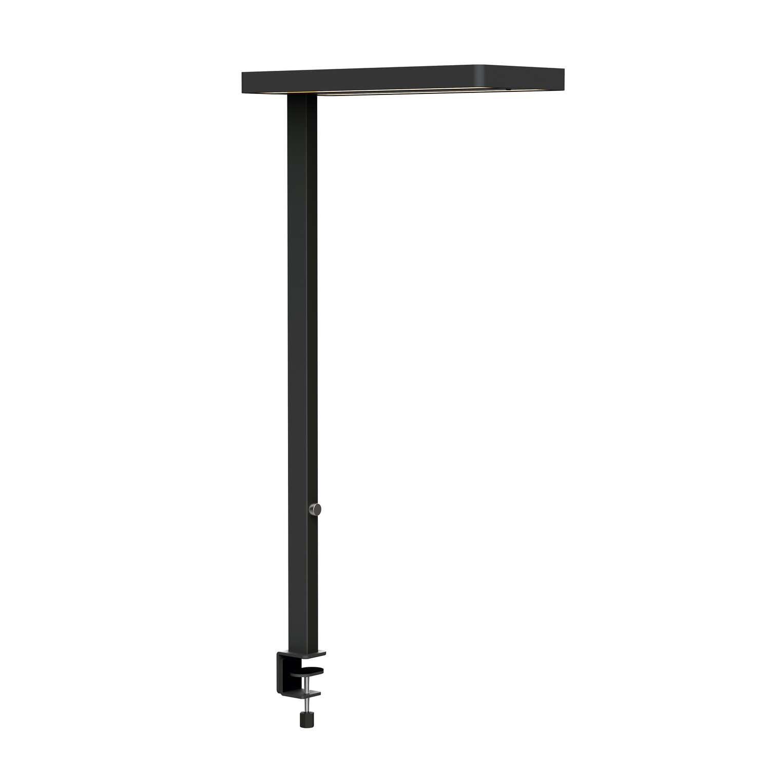 MAUL LED Tischleuchte juvis – Klemmfuss, Bewegungssensor, dimmbar – 4000 K – 7’200 lm 80 W – Schwarz